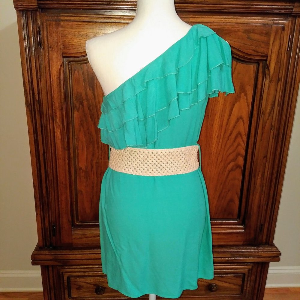 Francesca’s One Shoulder Ruffle Top Dress - Picture 4 of 7